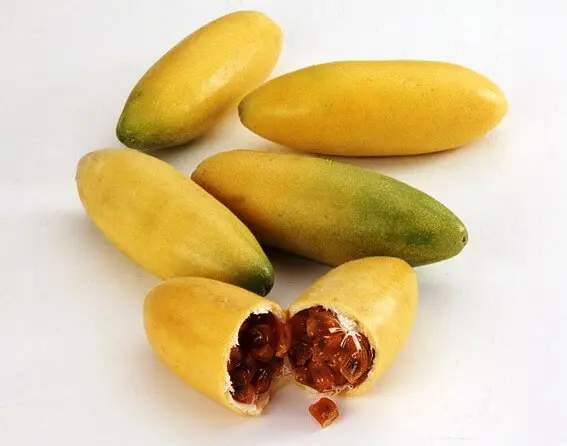 Curuba