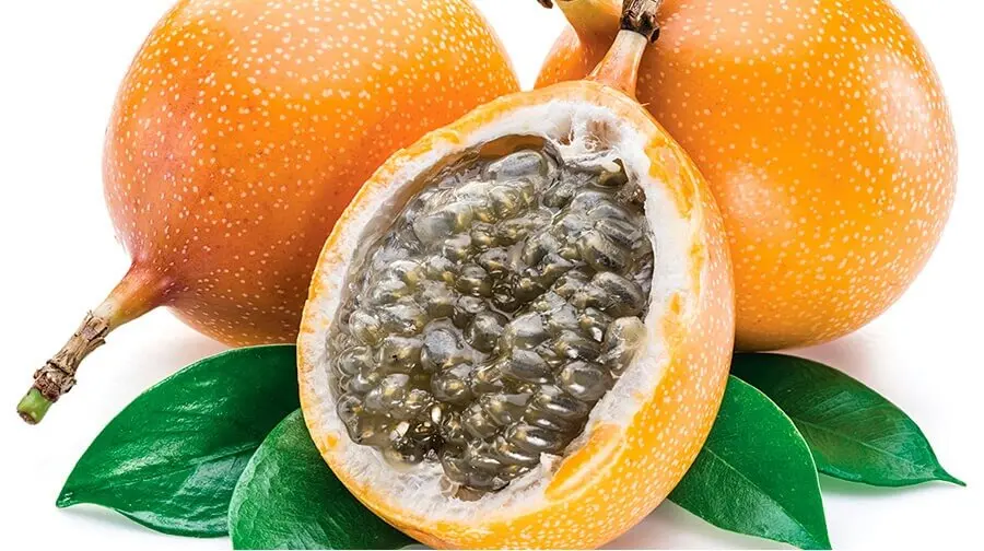 Granadilla